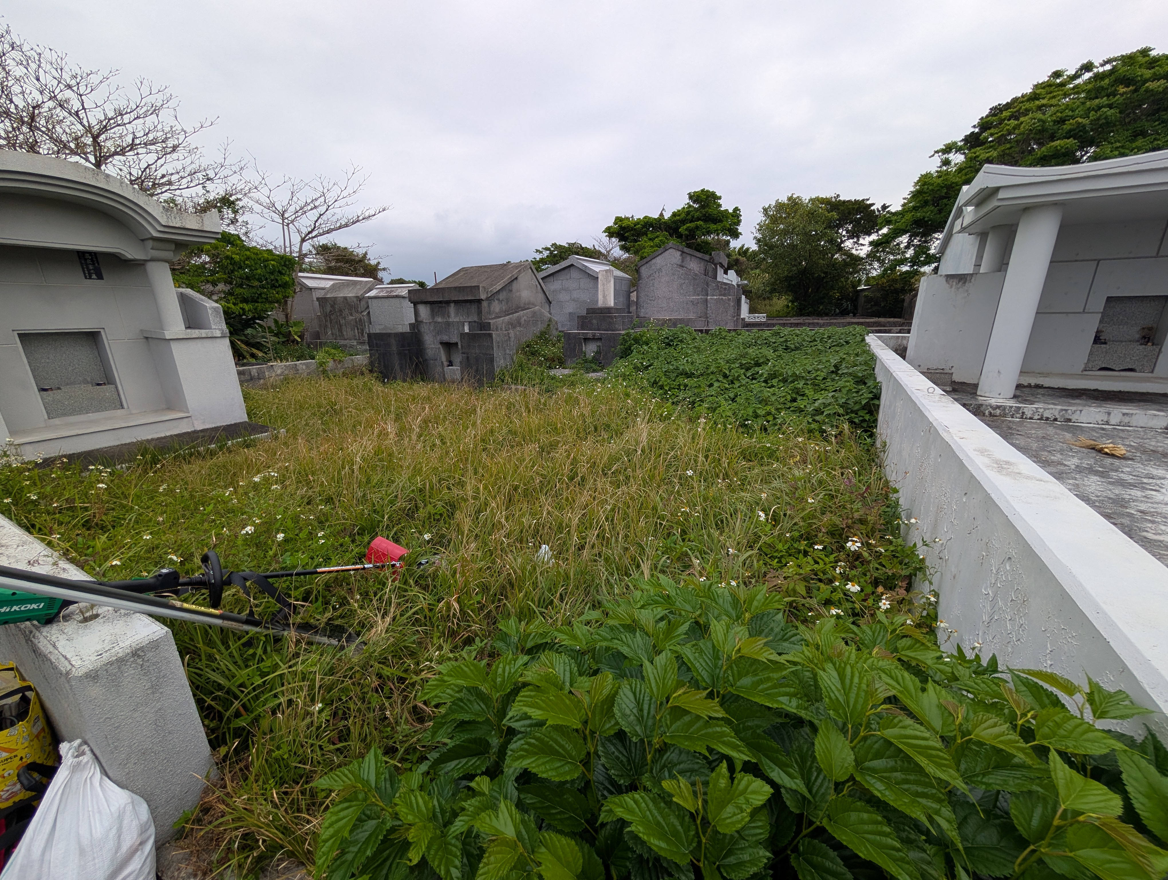 草刈り・庭木のお手入れ